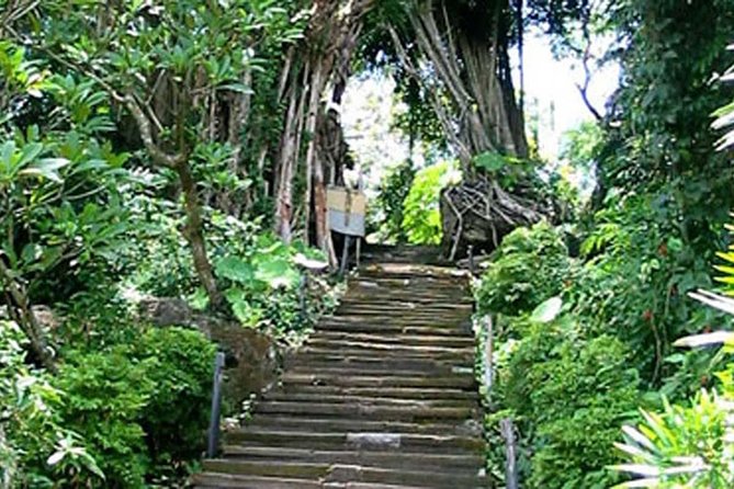 Bali Shaman,Palm Reading,& Spiritual - What Happens During the Holy Water Cleansing Ceremony