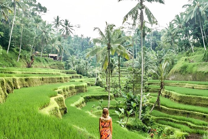 Bali Shore Excursions : Best of Bali Tour - Tegenungan Waterfall: How This Stop Fits a Cruise Schedule