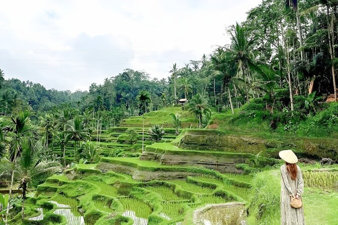Bali Shore Excursions : Best of Bali Tour - Filling the Gaps Between the Two Anchors