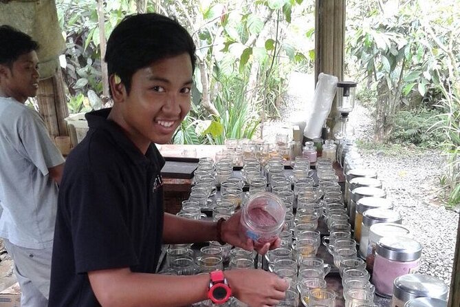 Bali Sightseeing - Tegalalang rice terraces, the view plus the farming story