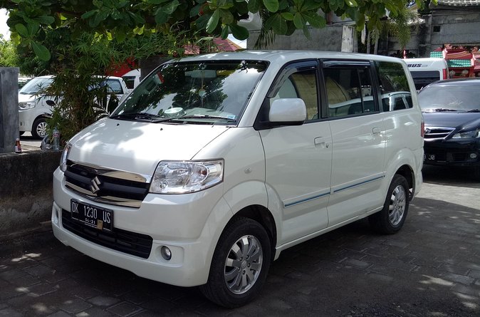 Bali Sightseeing Car Hire with English-speaking Guide and Driver - What you pay extra for: admission fees and lunch