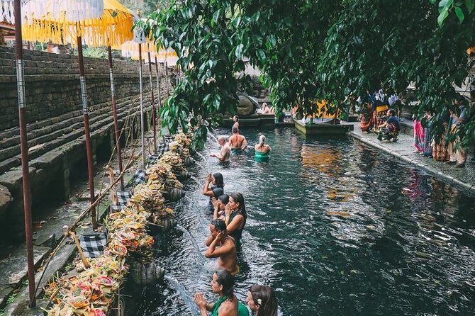 Bali Sightseeing - Sacred Monkey Forest Sanctuary, amazing but use common sense