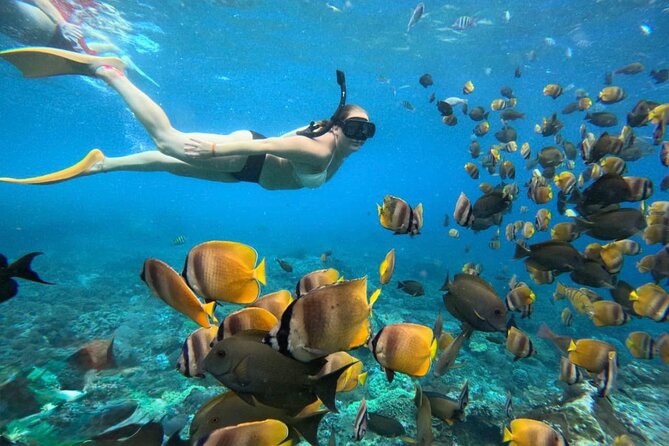 Bali Snorkeling 2 Spot at Blue Lagoon with Lunch & Transport - Key things I’d highlight before you book