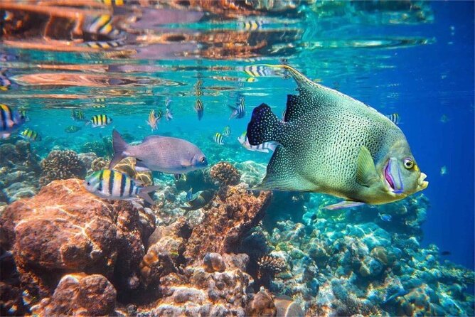 Bali Snorkeling 2 Spot at Blue Lagoon with Lunch & Transport - Padang Bai Beach stop: arriving in the right mindset