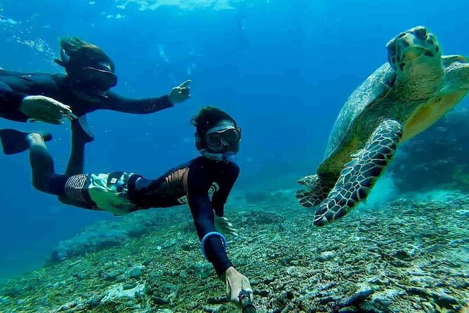 Bali Snorkeling 2 Spot at Blue Lagoon with Lunch & Transport - The 6-hour plan: how the road time shapes your day