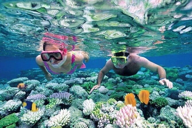 Bali Snorkeling at Blue Lagoon and Tanjung Jepun with Transfer - Key Things to Know Before You Go