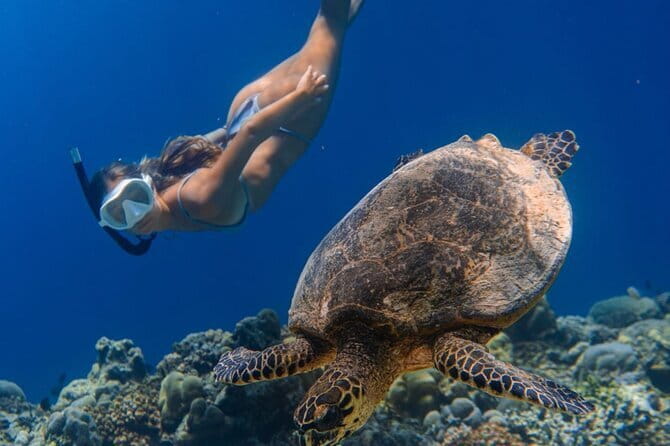 Bali Snorkeling at Blue Lagoon and Tanjung Jepun with Transfer - Price and value: Why $22 can make sense