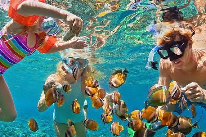 Bali Snorkeling at Blue Lagoon with Transport and Lunch - Key things I’d zero in on before booking