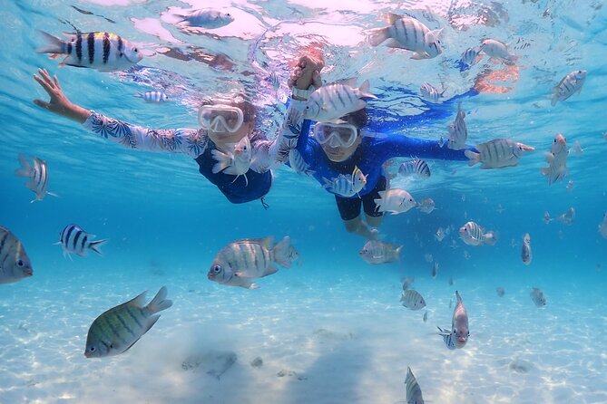 Bali Snorkeling Blue Lagoon with lunch &Optional waterfall Visit - Seminyak to Padang Bai, the stress-free start