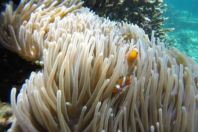 Bali Snorkeling Blue Lagoon with lunch &Optional waterfall Visit - Blue Lagoon Beach at noon, the main swim with a signature feel