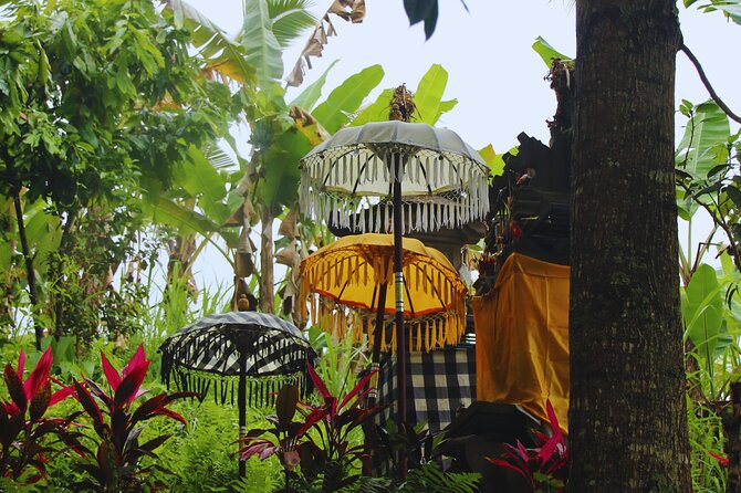 Bali Spiritual: Blessing Ceremony, Pristine Nature and Transfer - Key Things That Make This Trip Worth Your Morning