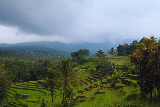 Bali Spiritual: Blessing Ceremony, Pristine Nature and Transfer - Homemade Village Lunch: Warung Food, Real Place