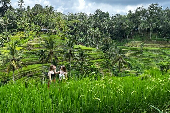 Bali Sunrise Without Hiking: Temples, Rice Terraces & Waterfall - Key highlights you’ll feel in your day