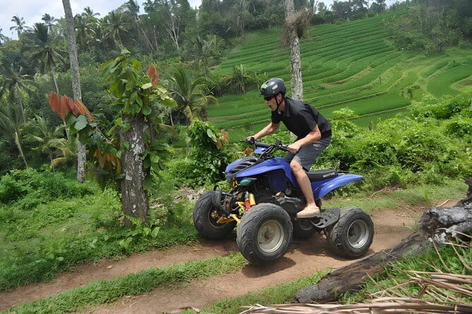 Bali Swing and Quad Bike Packages - Ubud Best Activities - The One-Day Combo That Actually Makes Sense