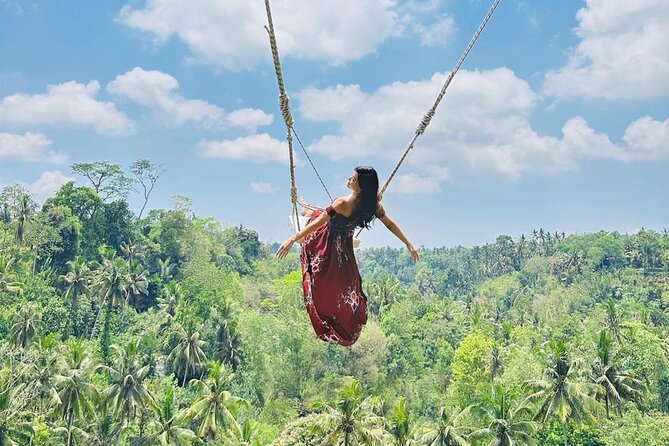 Bali Swing, Monkey Forest and Waterfall Private Tour - Key highlights to know before you go
