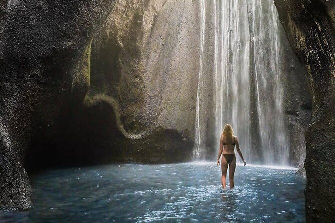 Bali Swing, Monkey Forest and Waterfall Private Tour - A 10-hour Bali mix: swing, monkeys, rice terraces, and two waterfalls