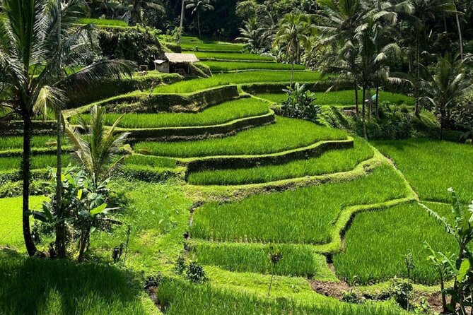 Bali Swing, Monkey Forest and Waterfall Private Tour - Tibumana Waterfall in Bangli: a quieter cascade and time to refuel