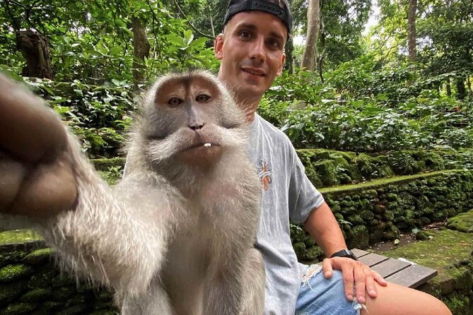 Bali Swing, Monkey Forest and Waterfall Private Tour - Price and value for a private day trip under $25