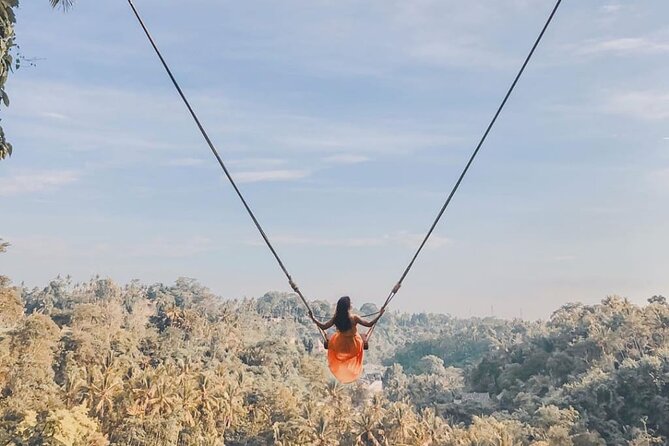 Bali Swing, Monkey Forest and Waterfall Private Tour - Seminyak pickup and small-group pacing that keeps the day moving
