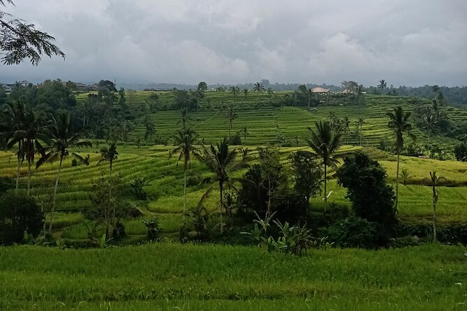 Bali Tanah Lot, Ulun Danu Beratan & Jatiluwih Rice Terrace - Price and what you actually get for $62.80