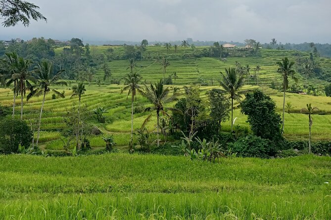Bali Tanah Lot, Ulun Danu Beratan & Jatiluwih Rice Terrace - Hotel transfer and the AC car: small comfort with big payoff