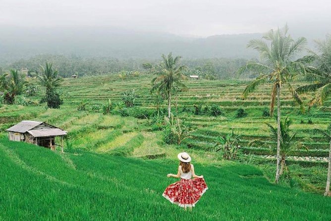 Bali Tour Package 9 Days 8 Nights - Day 5: Barong and Kris Dance, Tegenungan Falls, Ubud Palace, and the art market