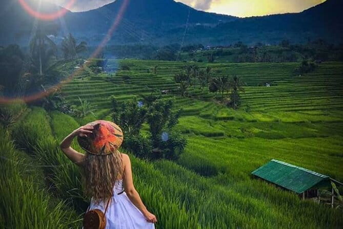 Bali Tour: Tanah Lot, UNESCO Rice Terrace and Water Temple - What to Wear, Bring, and Expect From an 8 to 10 Hour Day