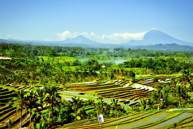 Bali Tour: The Best Way to Explore The Highlight of Bali - How the Day Stays Smooth: Tickets, Driver, and Timing
