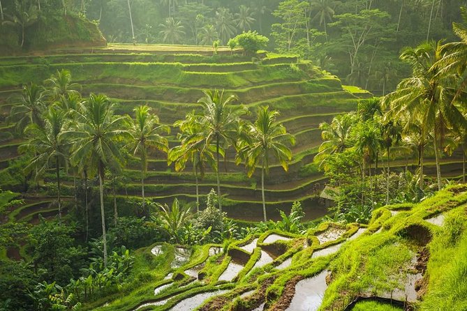 Bali Tribal Private Tour - Experience the best of Ubud, Bali - Why This Ubud Private Tour Works So Well From Seminyak
