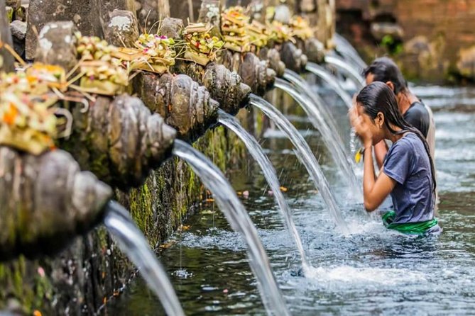 Bali Tribal Private Tour - Experience the best of Ubud, Bali - Price and Value: What the $35 Base Rate Covers (and What It Doesn’t)