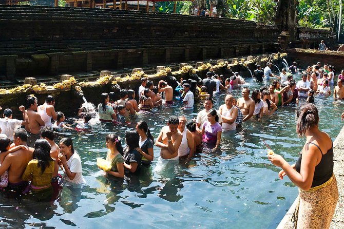 Bali Ubud and Volcano Day Tours - How pickup and timing shape your Ubud volcano day