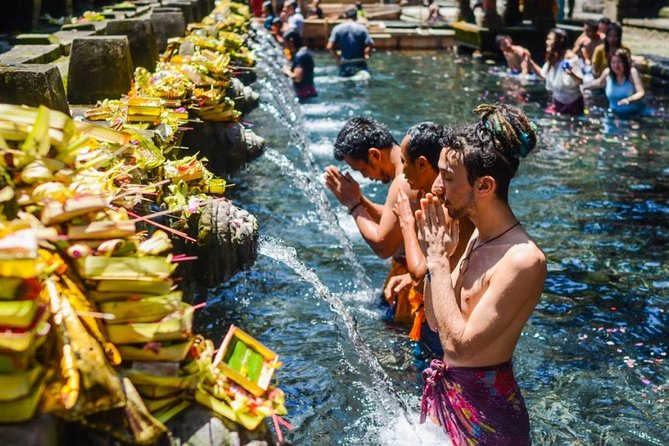 Bali Ubud and Volcano Day Tours - Sacred Monkey Forest Sanctuary: macaques, spiritual setting, and photo help