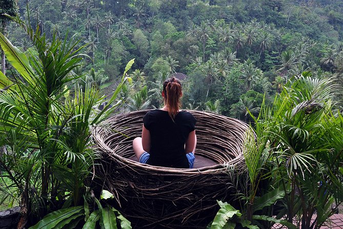 Bali Ubud and Volcano Day Tours - Tegalalang Rice Terrace: a classic view with time to appreciate it