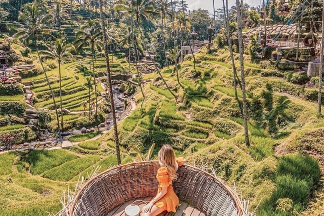 Bali: Ubud Highlights Tour with Private Guide and Transfers - Terrace River Pool Swing: budget for the extra ticket if you want the ride