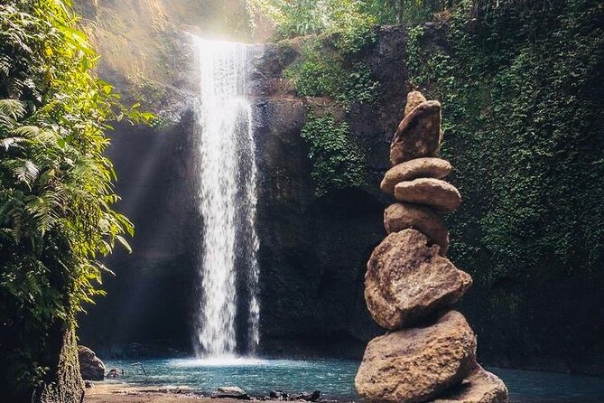 Bali: Ubud Highlights Tour with Private Guide and Transfers - What your $35.15 price gets you, and where extra costs can appear