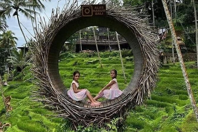 Bali Ubud Private Costomized Tour - Explore Bali your way - Stop-by-stop: Tegalalang, temples, monkey forest, and the water temple