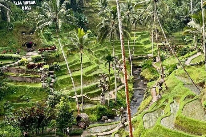 Bali Ubud Private Costomized Tour - Explore Bali your way - Beyond this route: how the customization works for your Bali mood
