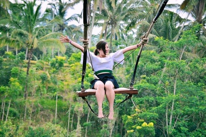 Bali Ubud private Tour with Ubud Bali Driver - FREE WIFI - A Private Ubud Day, Set Up for Your Interests