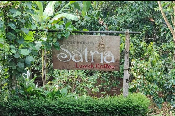 Bali Ubud private Tour with Ubud Bali Driver - FREE WIFI - Stop 4: Tegalalang Rice Terraces, Learn the Subak Irrigation System