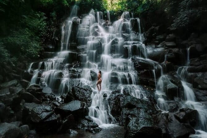Bali Ubud Tour Monkey Forest, Waterfall, Temple & Rice Terrace - A Ubud day that mixes temples, jungle, and rice fields