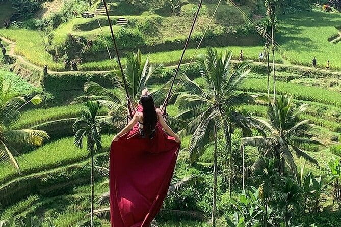 Bali Ubud Tour Monkey Forest, Waterfall, Temple & Rice Terrace - Stop 1: Sacred Monkey Forest Sanctuary, temples plus cheeky macaques