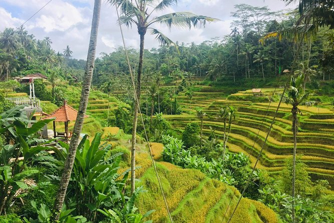 Bali Ubud Tour - Pickup Areas and the Comfort Stuff That Makes the Day Work