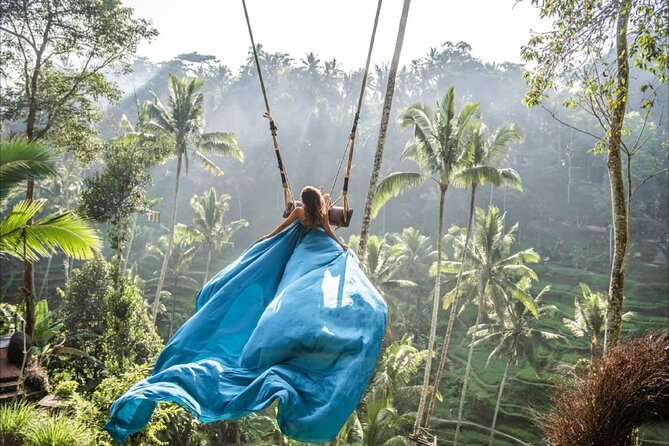 Bali Ubud Zipline Jungle Swing and Waterfall Tour - Tegalalang Rice Terrace: A Classic Ubud View With Minimal Effort