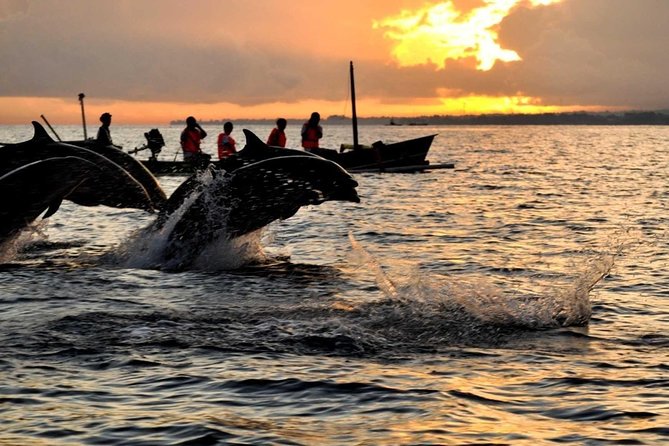 Bali Watching Dolphin at Lovina Beach & aling aling waterfall - Key things I’d plan around before you book