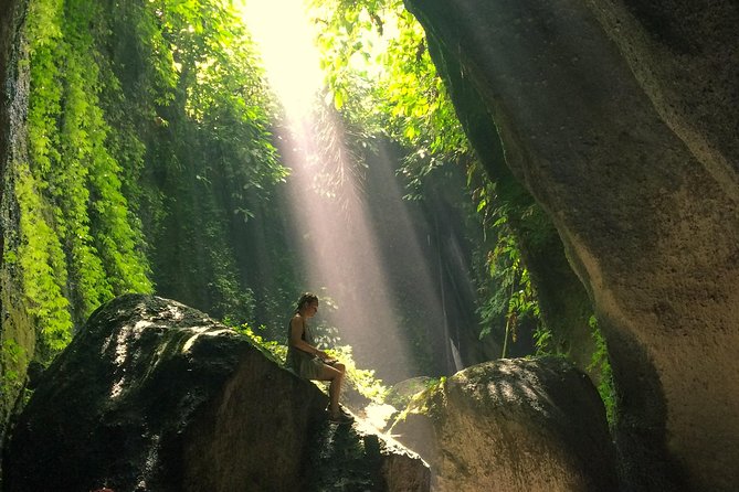 Bali Waterfalls and Temples Tour - Price and value: what $76 covers, and what adds up
