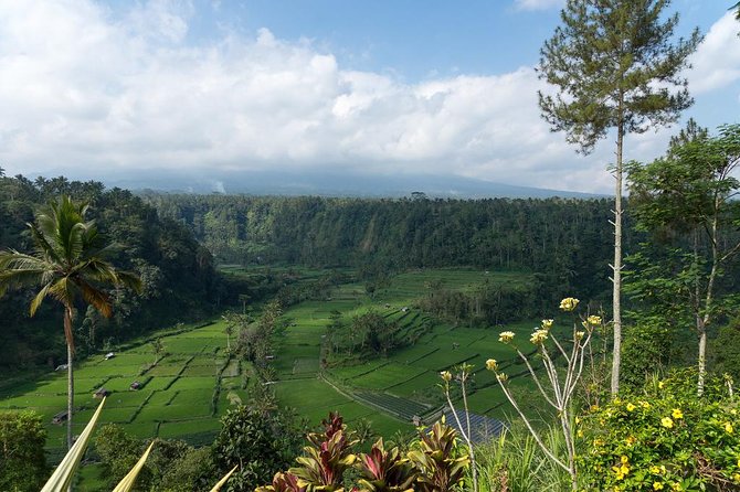 Bali Waterfalls and Temples Tour - Temple etiquette: sarongs, timing, and what to do when you feel unsure