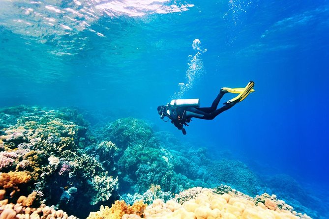 Bali Watersport Activities - Great Discount Package - Price and Value: Getting More Than You’d Think for $45