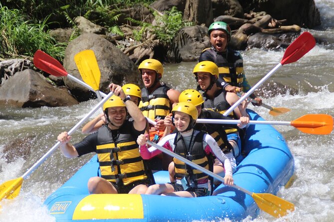 Bali White Water Rafting Adventure at Ayung River Bali - Key highlights you’ll actually care about