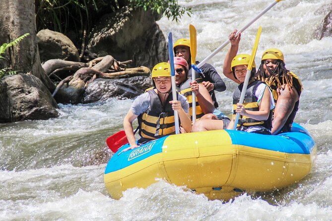 Bali White Water Rafting Adventure at Ayung River Bali - Price and value: why $27 feels like a fair deal on this kind of day