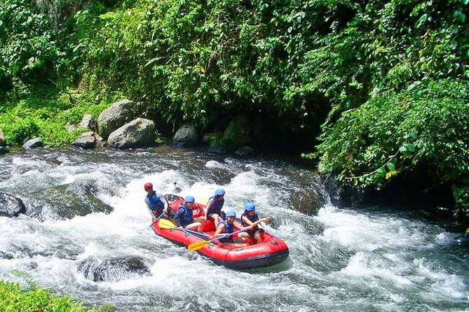 Bali White Water Rafting at Telaga Waja River - On the river: 2 hours of paddling through jungle and rice paddies